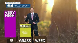 Saturday update on insane pollen levels in Central Virginia
