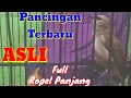 Download Lagu Pancingan Terbaru Trucuk Full Ropel Panjang Pancingan Dan Masteraran Trucuk macet Bunyi