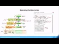 Understanding Segments Packets and Frames - Data Encapsulation Series