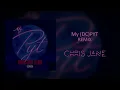 Wale - "My PYT" (Chris Jane Remix)
