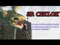 Download Lagu Sp Ceklok Walet || Link di deskripsi