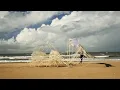 Lagu strandbeest evolution 2024