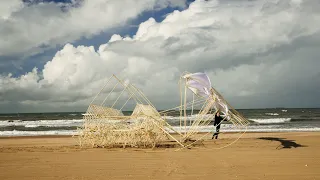 strandbeest evolution 2024