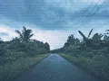 Phoenix - After Midnight (feat. Clairo)