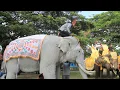 Download Lagu Gajah Putih