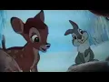 Flower needs to HiBerNaTe Bambi