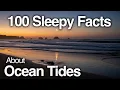2 Hours of the Most Relaxing Ocean Tides Facts for Deep Sleep