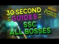 Serpentshrine Cavern - All Bosses