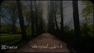   تلك الجنة التي نورث من عبادنا من كان تقيا    القارئ عبدالله المالكي  دندنها