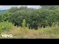 Download Lagu pinkicelolly - The Two Heartbeats (Official Music Video) (Lyric Video)