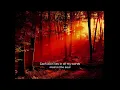 Dark tranquillity - Insanity's crescendo (karaoke)