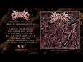 VISCERAL DISGORGE - Sedated And Amputated (Official Track Stream)
