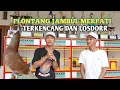 Download Lagu Koleksi merpati Player team Grendakar jogjakarta