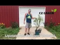 Dragon Willow Bonsai Update CZ Grain Bonsai Link to Buy Tree in Description