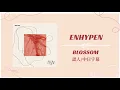 Download Lagu 【認聲中字/日本語字幕】ENHYPEN (엔하이픈) “Blossom”✿