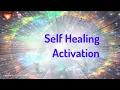 Lagu Self Healing - Let the Body Heal Itself - Energy/Frequency Healing Meditation Music