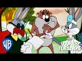 Download Lagu Looney Tuesdays | Bugs Bunny and Taz's Adventures | Looney Tunes | @wbkids