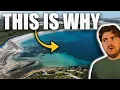 This Tiny Beach Has INSANELY Aggressive White Sharks