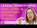 Cardiac Dysrhythmias - Medical-Surgical