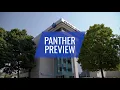 Panther