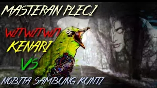 masteran pleci terbaik raja nembak witwit panjang kenari nobita sambung kunti