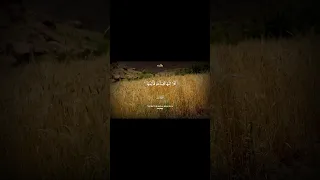 اللهم إنا نعوذ بك من موت الفجأة في ساعة الغفلة اللهم لا تأخذنا من هذه الدنيا إلا وأنت راض عنا  اللهم إنا نعوذ بك من موت الفجأة في ساعة الغفلة اللهم لا تأخذنا من هذه الدنيا إلا وأنت راض عنا
