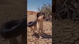 Please comment about moral