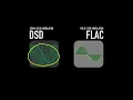 Lagu ⏪️⏯️⏩️ DSD vs FLAC Audio Format