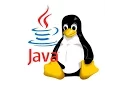 Install Java 9 in Ubuntu - Linux mint 18 1 in 5 min