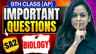 SA 2 Most Important Questions - Foundation Biology