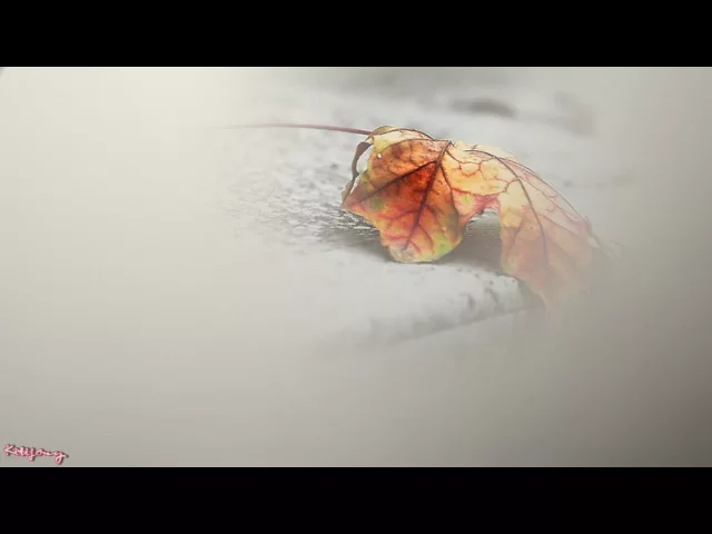 ☘️♥️☘️ Khi người xa tôi☘️♥️☘️