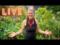 We re BACK Lazy Gardening LIVE Q A Your Questions Answered August AOAT Livestream