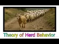 Theory of Herd behavior