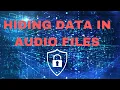 Steganography 101 How to Hide Data Within Other Data and Protect Your Information