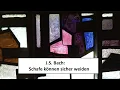 Download Lagu J.S. Bach: Schafe können sicher weiden