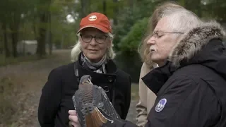 Jane Alexander Saving Our Wildlife