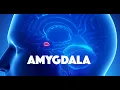 Download Lagu Amygdala