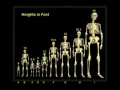 Steve Quayle The Truth About Nephilim Giants