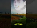 Download Lagu 🎶Nike Ardila - Sandiwara Cinta. #nikeardilla #shortsfeed #shortvideo