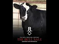 Ruby Cattle Co - Annual Bull Sale