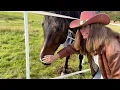 Southern Babylon – Ashley McBryde | Live Acoustic Cover by Molsner Melodies