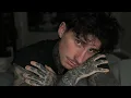 Download Lagu ASMR Begging For Your Attention (Please Look at Me)