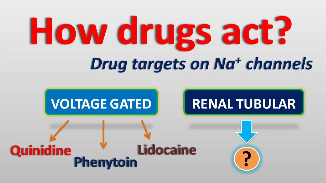 How drugs act || Drug targets on Sodium channels