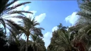 نفسي اشوفك في المنام يا رسول الله وابكى على كتفك وانام أحمدخالد 