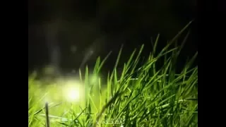 دعاء رائع للشيخ ماهر المعيقلي نغمة جوال 