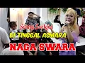 Lagu NAGA SWARA GROUP  ‼️ Fanny Lovers  ‼️ Di Tinggal Asmara ‼️ Cover Performance Musik Cover.
