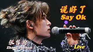 Download 《说好了 Say Ok》 (Live FansCam 饭拍) 【Zhang Zhehan 张哲瀚】《我遇见我 Another Me》首唱会 Mini Concert 20201018 MP3