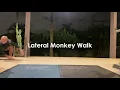 Lateral Monkey Walk