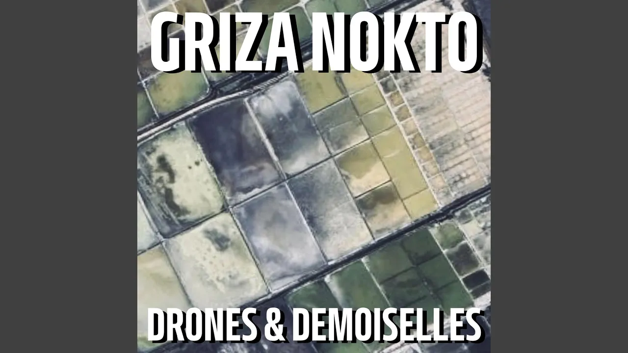 Drones e Demoiselles