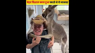 इतने बड़े जानवर कि इंसान इनके सामने चींटी लगे! 😱🐘